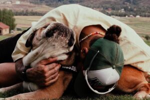 Lewis Hamilton anuncia la muerte de su perro Roscoe.